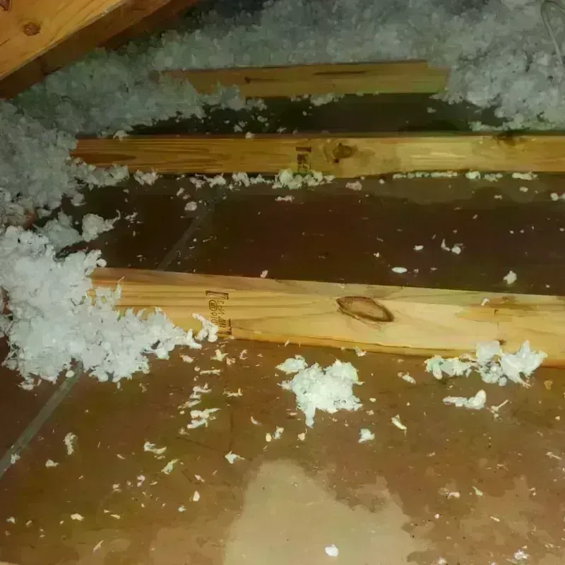 Attic Water Damage in Alturas, FL