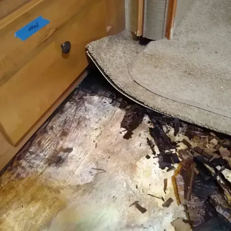 Best Wood Floor Water Damage Service in Alturas, FL